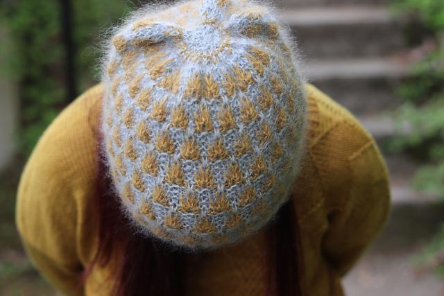 Aphelandra, détail 2