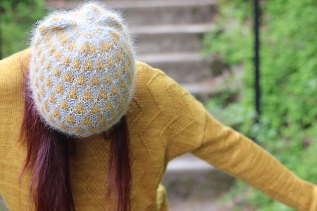 Aphelandra, détail du modèle 4