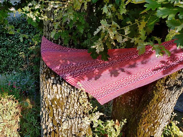 Ravenne Shawl, détail du modèle 4
